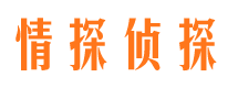 丰县侦探公司